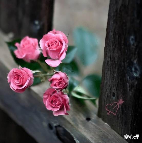 蜜心理|心理学家：经常和你说这3句话的人，表面一套，背地一套