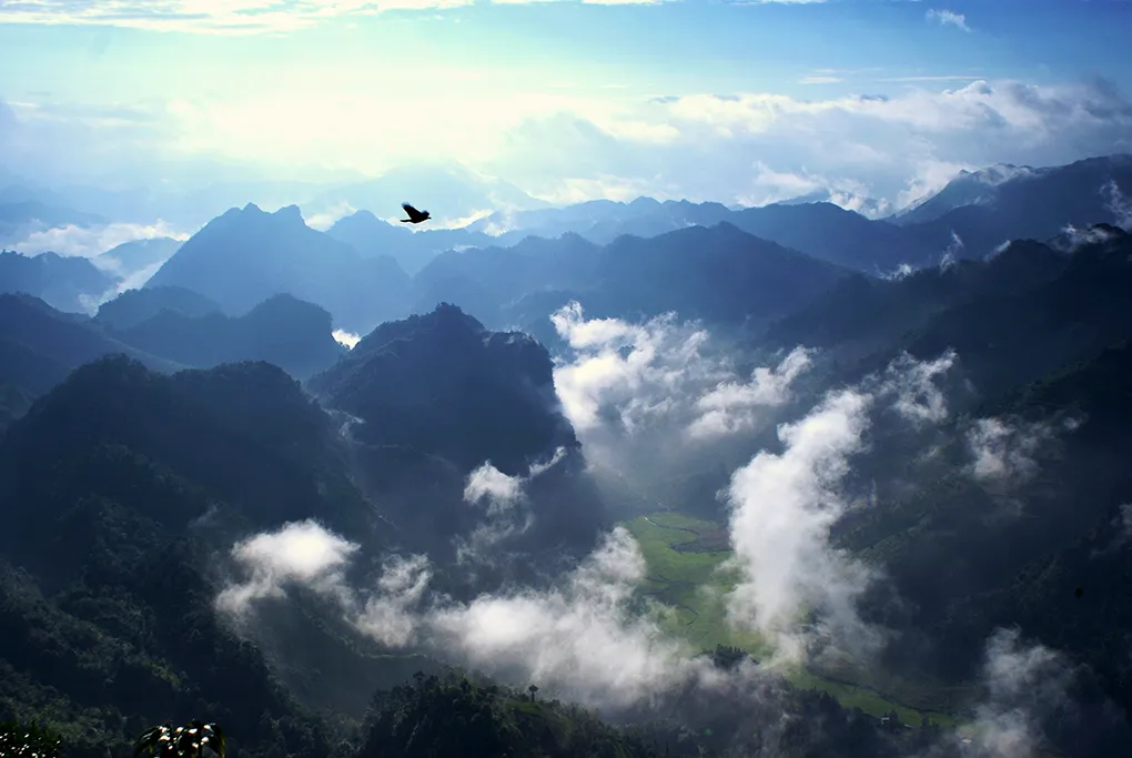 新广西 据说这是国内最美的景观公路之一,沿着它走,可以到达“秘境桃花源”
