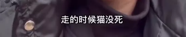 罗生门|知名导演深陷虐待丑闻，全网索要“原始视频”：果然又是他！