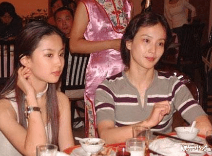 刘亦菲|富商陈金飞的风流史：操盘“干女儿”刘亦菲，迎娶“玉女”杨采钰