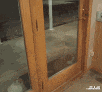 小姐姐|“华为1996年的招聘广告,大家自己感受一下!”哇哈哈哈哈~