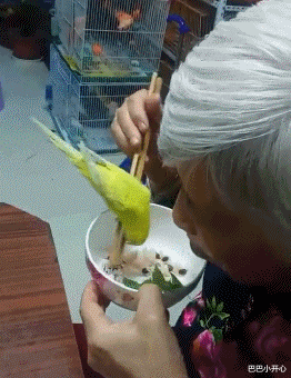 中小学|“大家口中的烂高中到底有差？”网友回复真是让我明白了