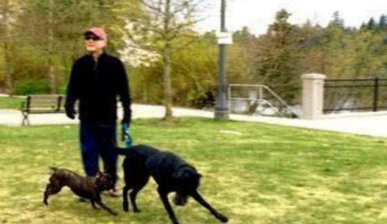 尊龙|林青霞为见他整夜不睡，他心里却只有陈冲，今68岁独身与狗为伴