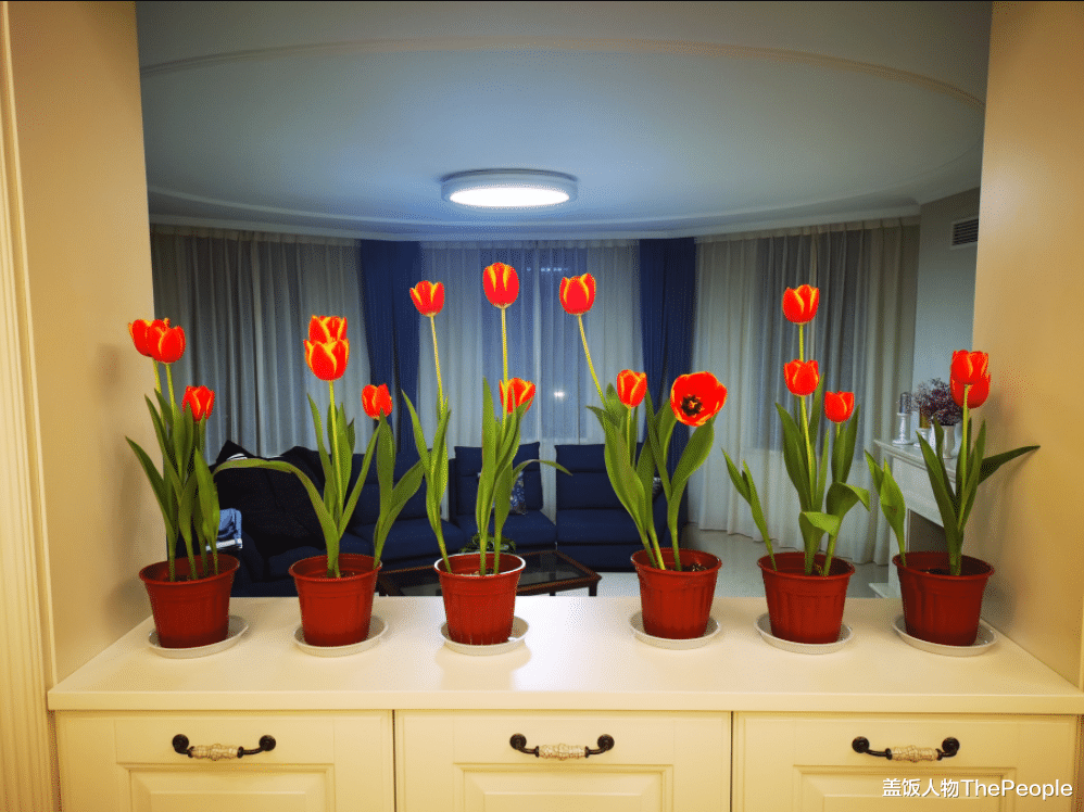 侯勇|两任前妻70后，情人80后，三婚又娶90后，是因为侯勇有钱就变坏？