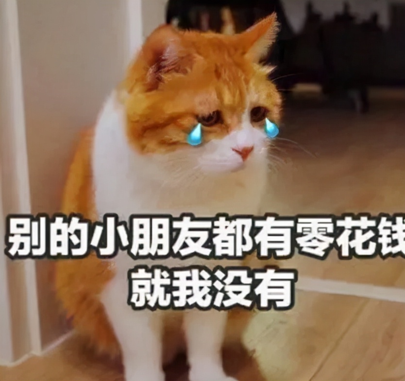 大树说教育|大学生花式讨要生活费：小螃蟹没“钳”了，最后父母的回复亮了