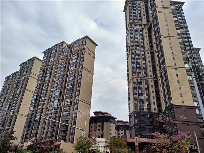 龙岗|实探南宁龙岗西：14个楼盘实景+道路建设，颠覆你的想象！