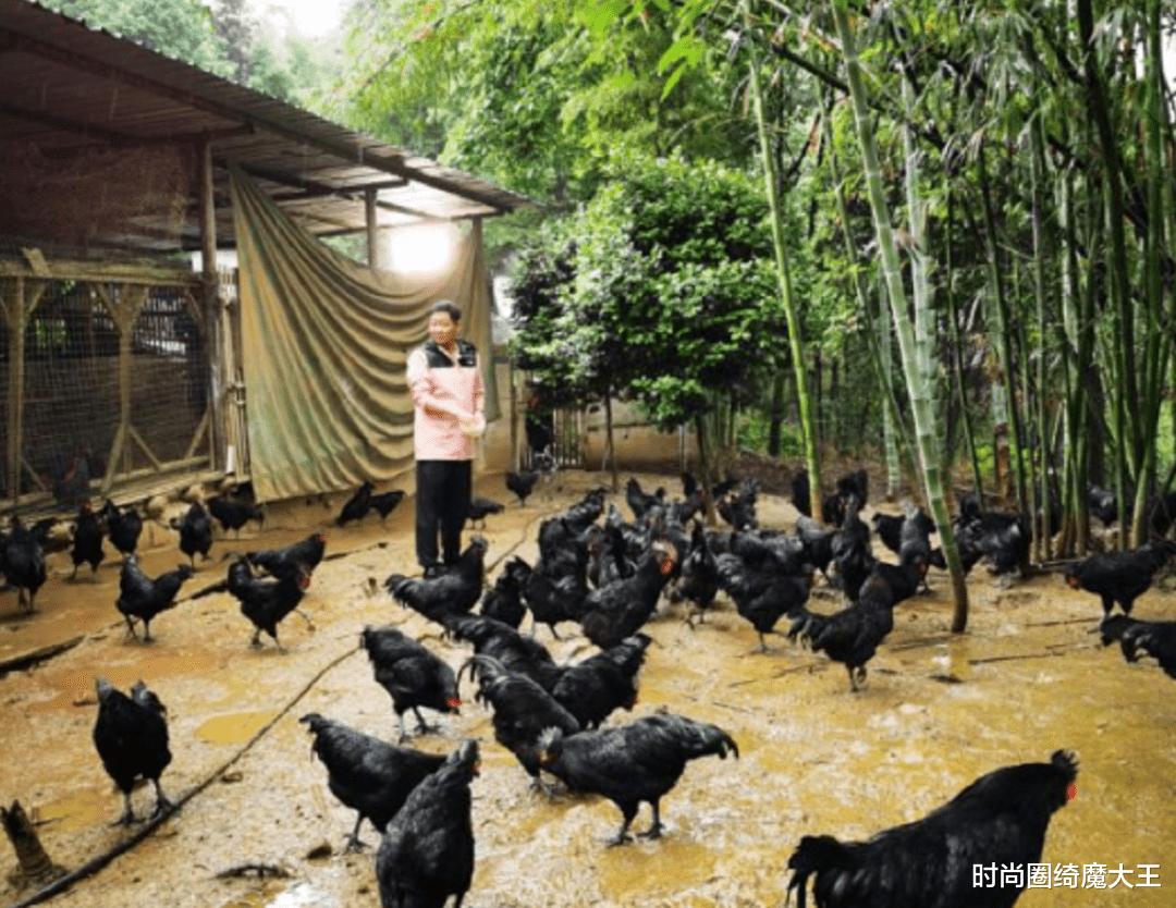 时尚圈绮魔大王|三德子山林养鸡开饭馆，亲自下厨炒菜，新店开业给员工送礼物