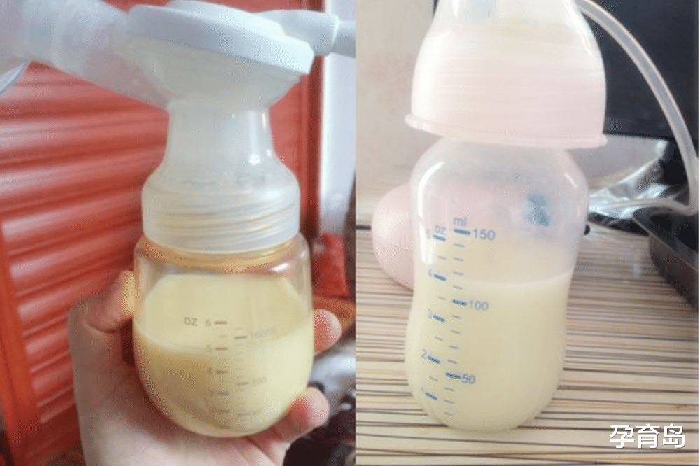 孕育岛|吃母乳和吃奶粉的孩子，长大后区别不小，父母别再认为二者一样了