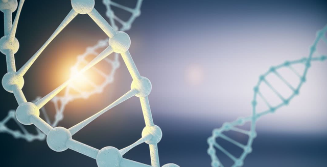 基因 20亿年前的地球到底是什么样子的？我们的祖先又在做什么？