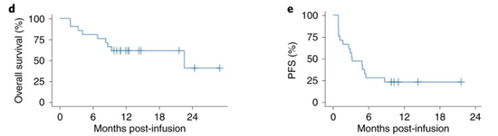 car-t 荣登《自然-医学》封面：这种难治癌症终于遇到了克星