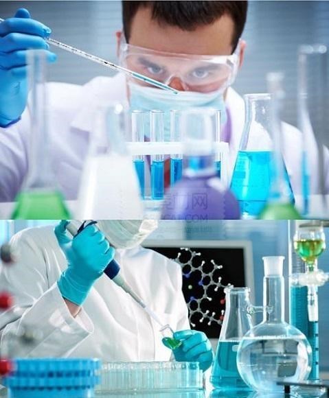 人类与猩猩基因相同?女科学家为验证以身试险,精神值得敬佩