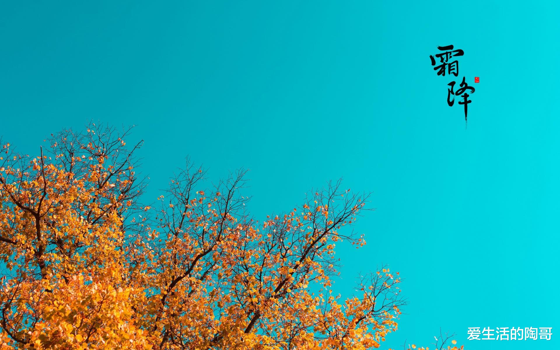 香蕉|霜降到，吃3菜，饮2水，食1肉，做1事，顺应时节，健康进入寒冬季