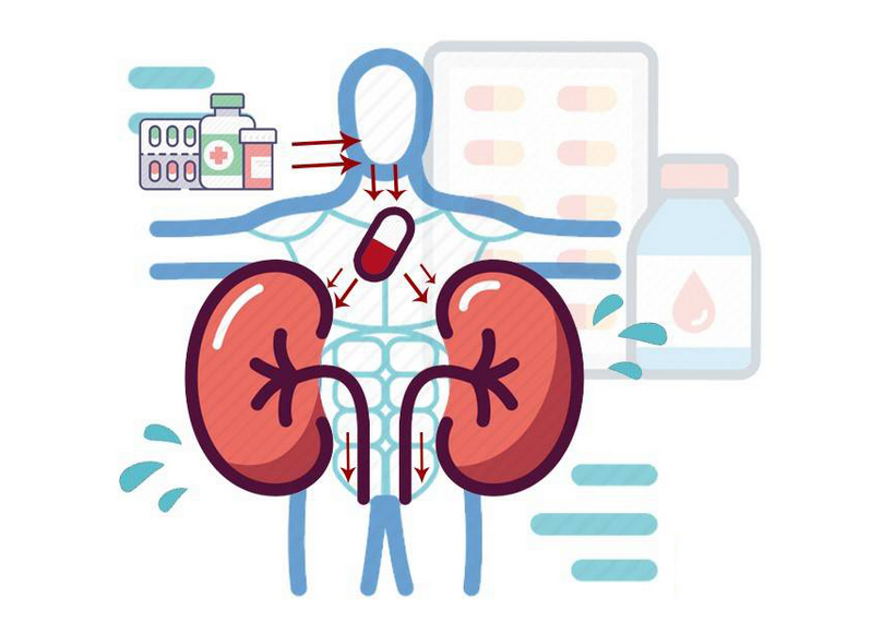补肾|肾不好百病生？提醒：日常多吃这4种食物，补肾强肾、增强免疫力
