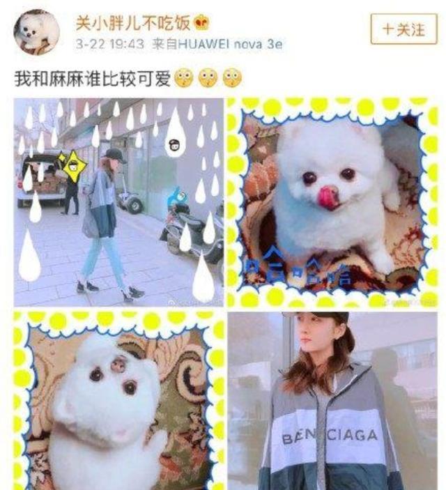 郑爽|郑爽小号曝光：明星小号背后隐藏的秘密这么多？