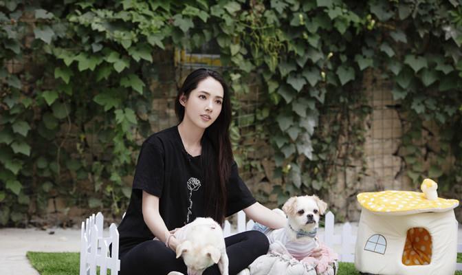 方脸妹说时尚|葵花夫妇产后综艺首秀,郭碧婷穿西装恢复快,向佐霸气搂妻太腻歪