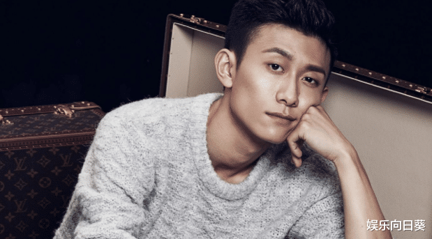 张一山|张一山：演技评价两极分化，他没火起来缺的是什么