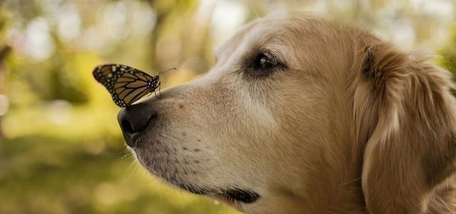 中国天眼 “天眼”怎么排水？遇到暴雨会装满吗？看完不得不说厉害了我的国