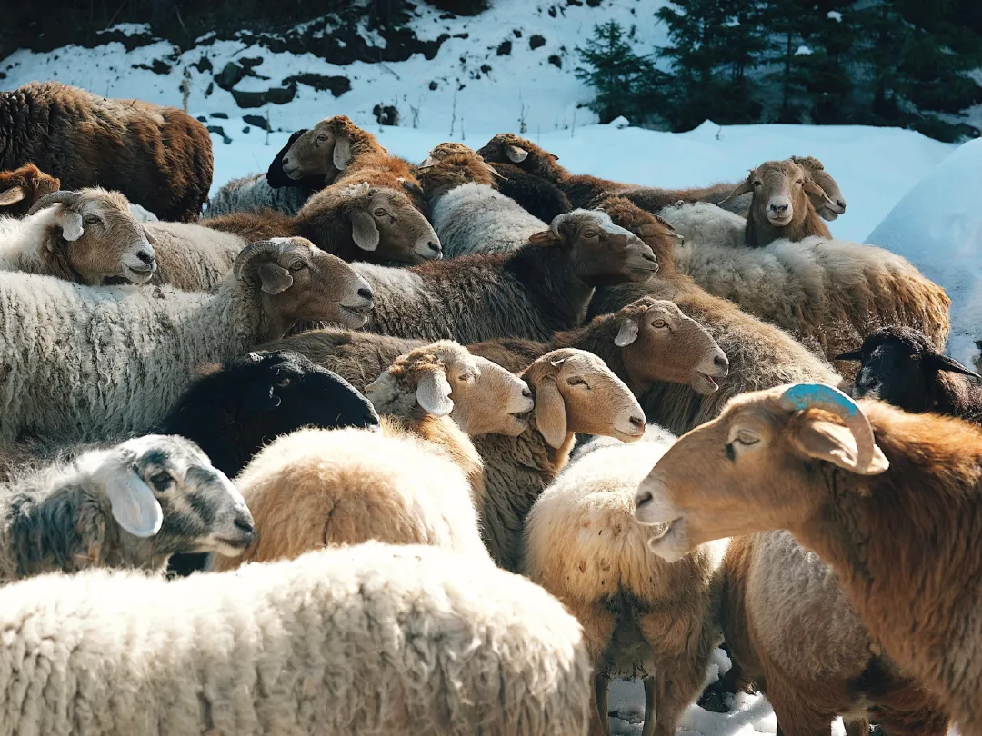 尹昉|30岁才出道的他，靠演技圈粉无数，居然还是天才舞蹈家？