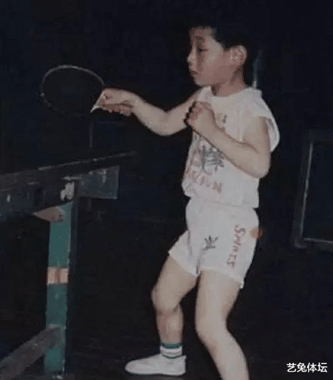 张继科|从“乒乓王子”到被国家队开除，跌下神坛的张继科经历了什么？