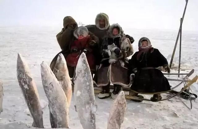 乒乓 爱斯基摩人为啥几乎一辈子吃生肉?“基因变异”还是另有原因?