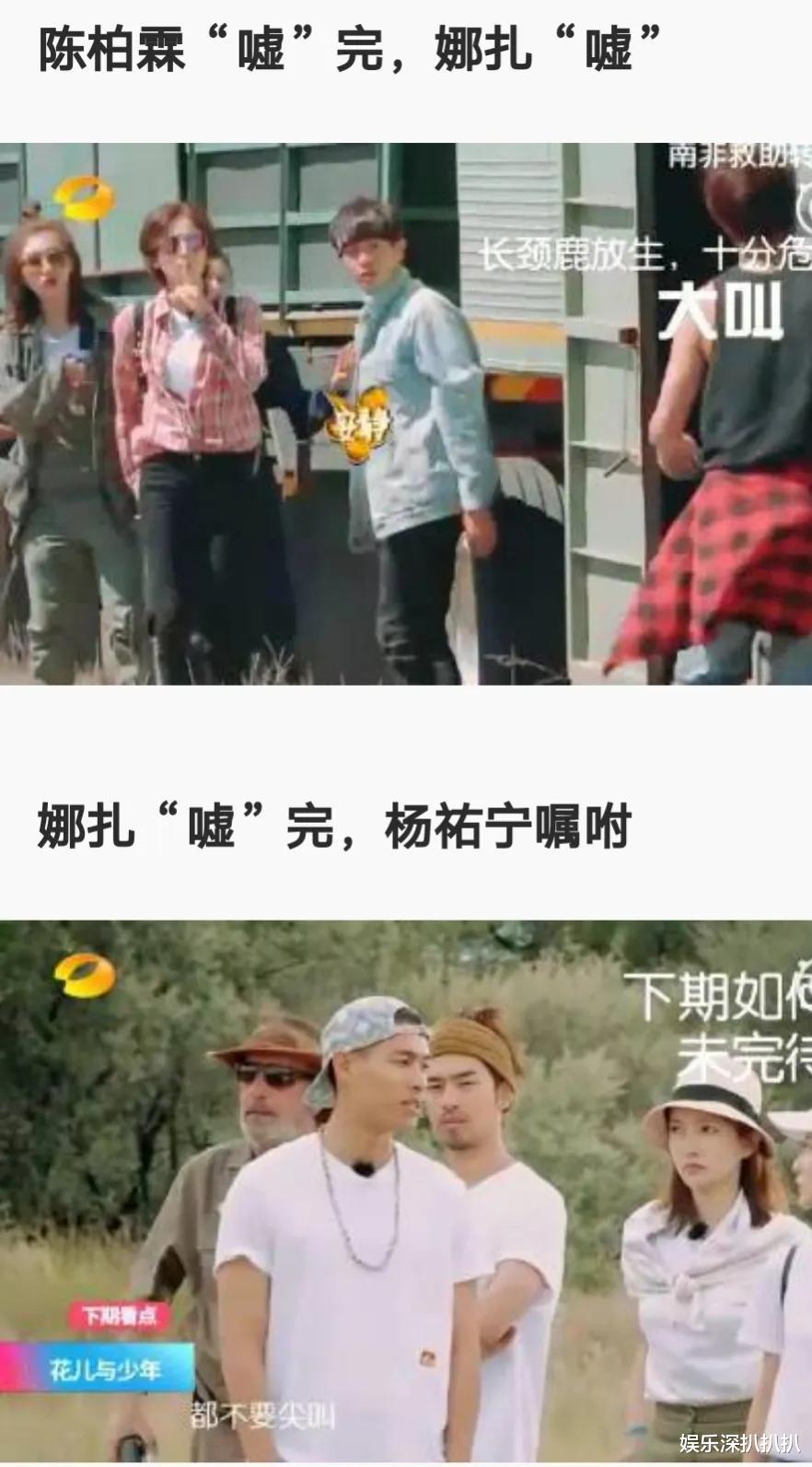 张小斐|因为绿茶行为错过爆红机会的女明星-胡辣汤、挤痘痘、捋剧本.....