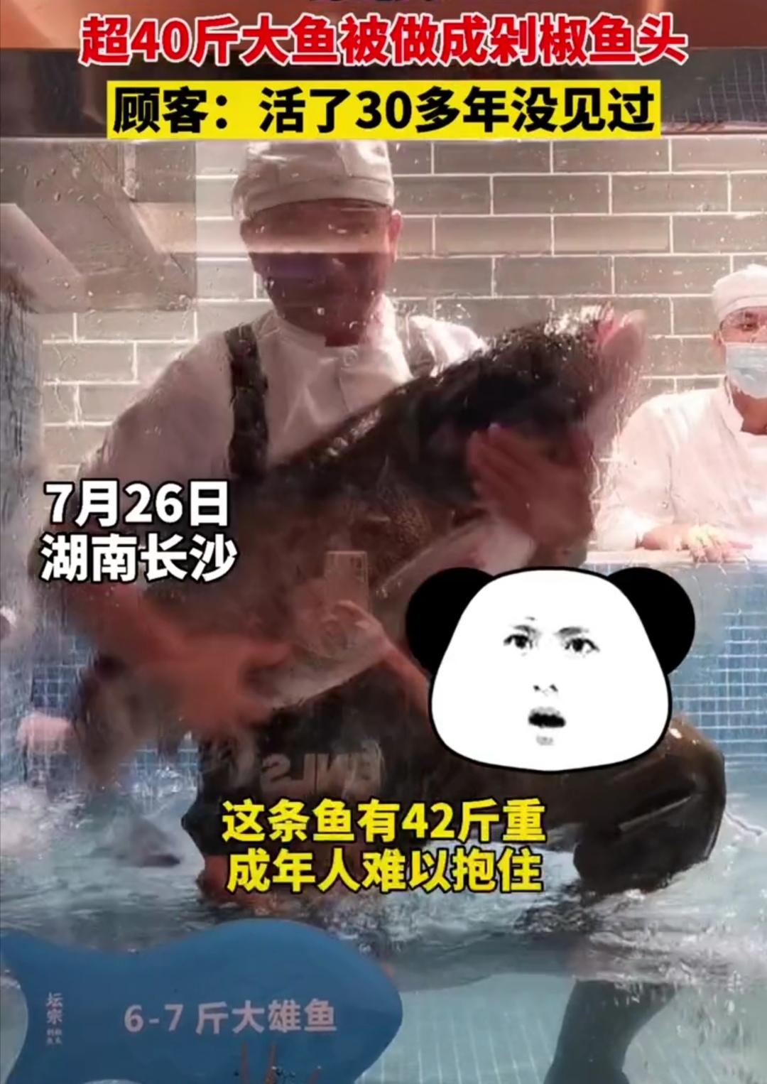 湖南|湖南:“餐馆大鱼!”被做成剁椒鱼头,顾客:“太大了!”