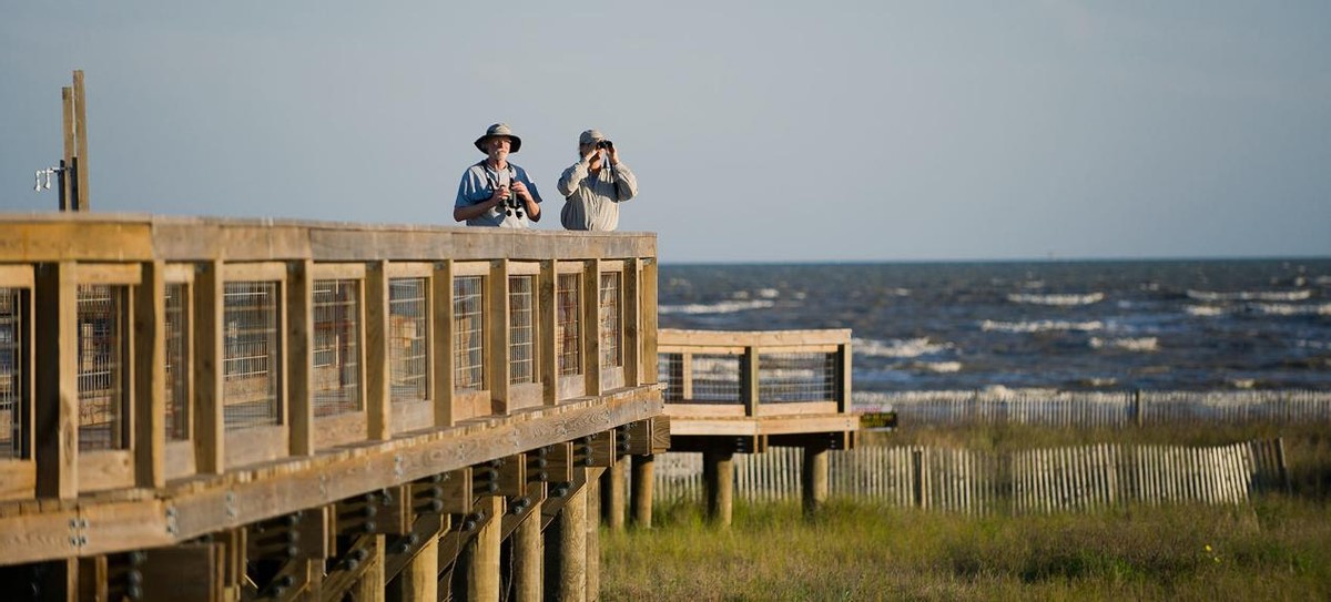科学家 传说大海中有超级浪，见过的人都死了，科学家不信，直到有1天