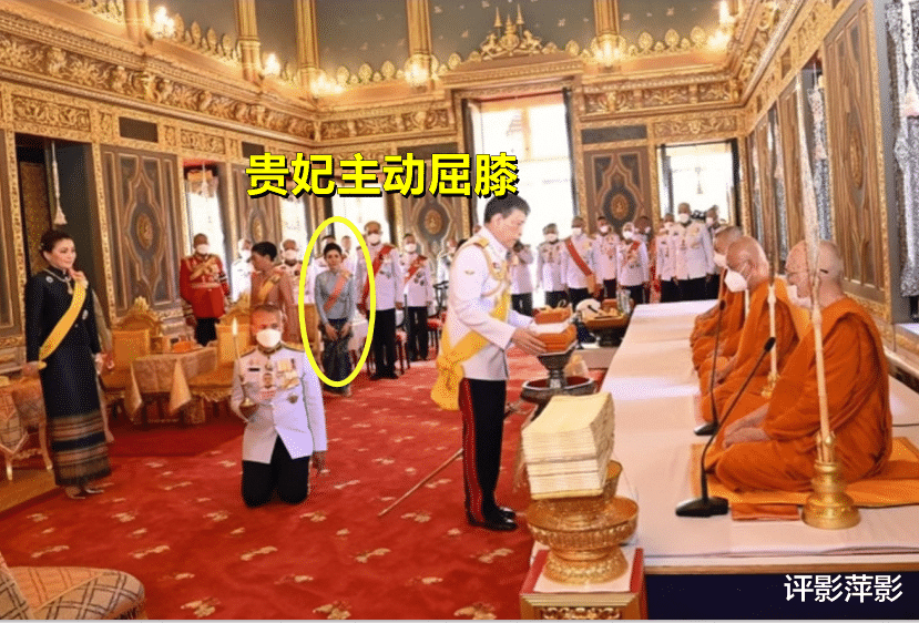 诗妮娜|王室典礼诗妮娜举止紧张，主动向国王背影屈膝，贵妃风光期结束了