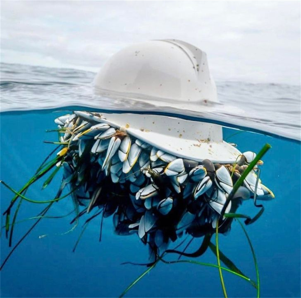 化石 34个被人类遗忘的角落，最终被大自然无情反噬