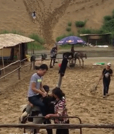 |“90后小伙写的辞职报告”，哈哈哈哈哈字字精辟，全文无一个多余词