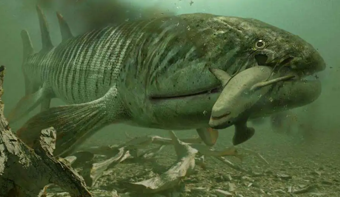 蚊子 鲨鱼进化之悲歌：被其他霸主欺负亿万年的感觉，你们人类不会懂的