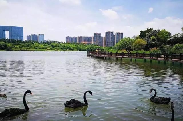 育儿心课堂|厦门投资上亿的湿地公园，免门票媲美白鹭洲，乘地铁二号线可直达