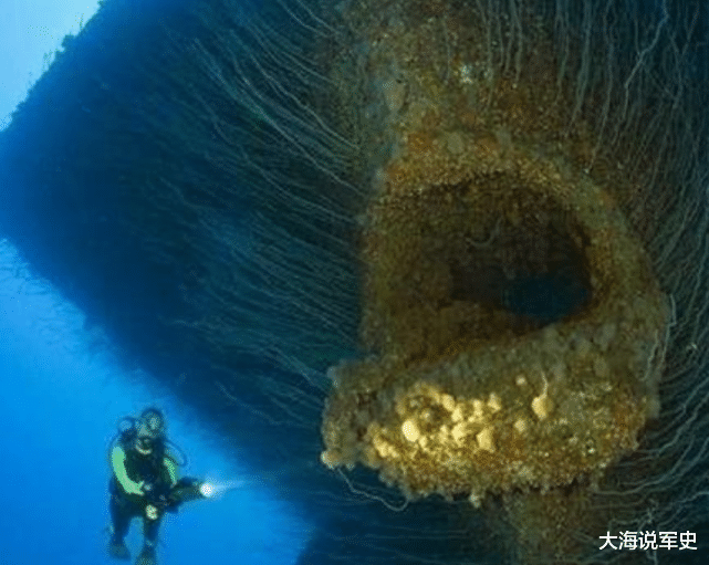 霍金预言要成真了?科学家在海沟10975米处,发现了不该存在的东西