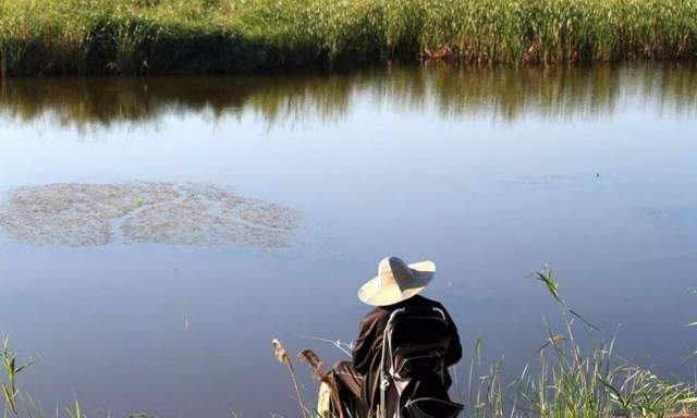 饵料|夏季夜钓，这几点需要注意，6月不学就太亏了，不信就试试