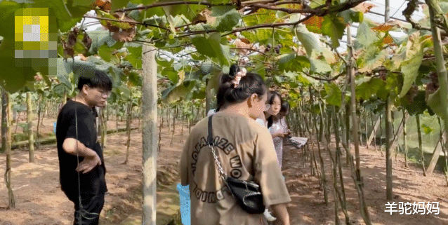 “地表最强舅舅”16个外甥,暑假独自带11个娃,一天就要花1500元