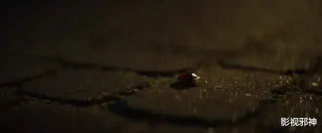 梅根·福克斯|看完这部养眼新片，又被吸干了……