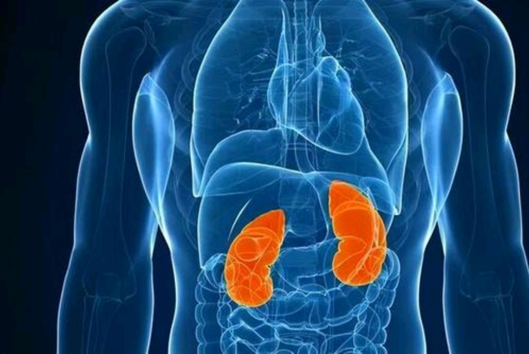 维生素b12|生活中3类人容易招惹“肾病”，男人养肾，这2个方法可以尝试