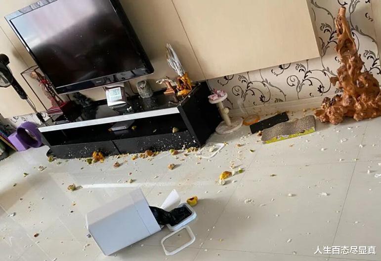 上门女婿崩溃了,男子故意酒驾求拘留:你们戴黑帽子,我戴绿帽子