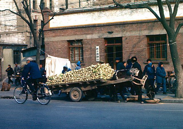 剧毒农药馒头为何会进入食物内?1978年天津一家五口中毒身亡案