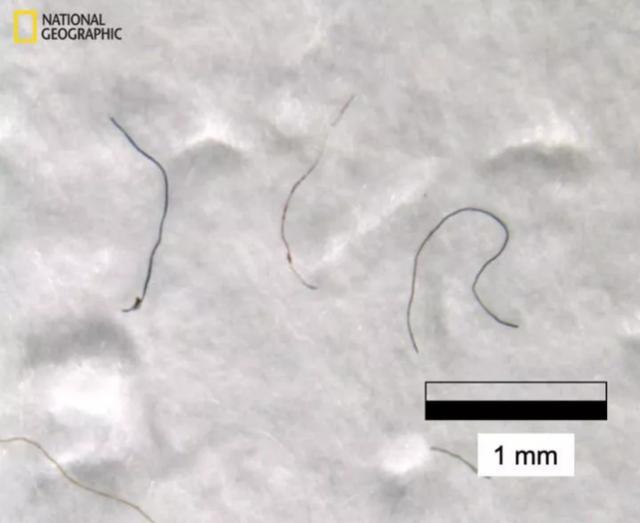 白色污染|深入万米海底,发现本不该出现的东西,地球未来会走向毁灭吗?