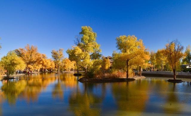 科学家 美科学家发现地球正“变绿”，原因就在中印，但专家对印度很担忧