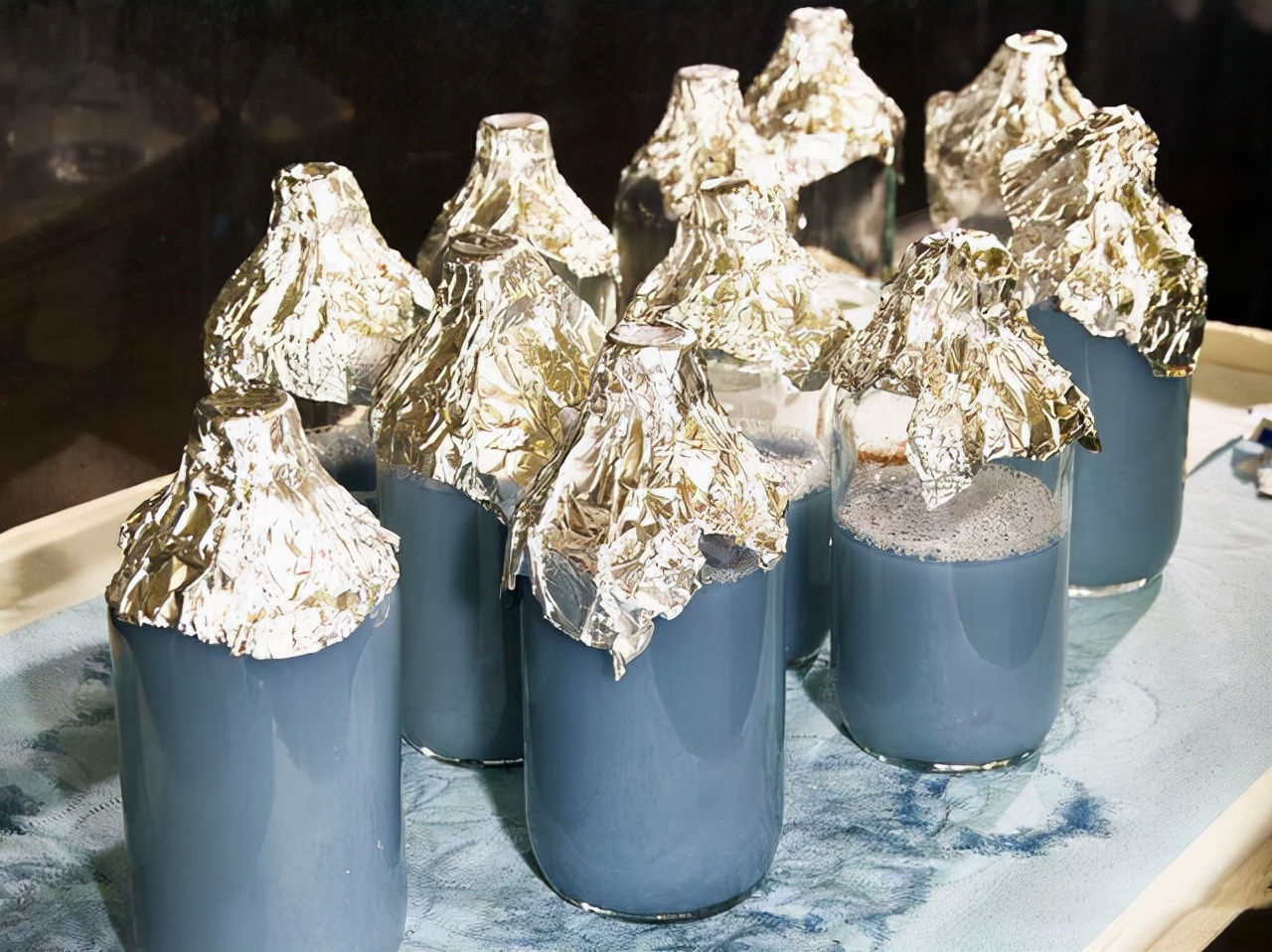 1升10万！体内流着蓝色黄金的古老生物，在疯狂抽血下濒临灭绝