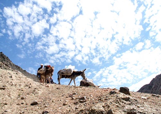 塔什|玉出昆仑，探索“万山之王”昆仑与玉的奥秘