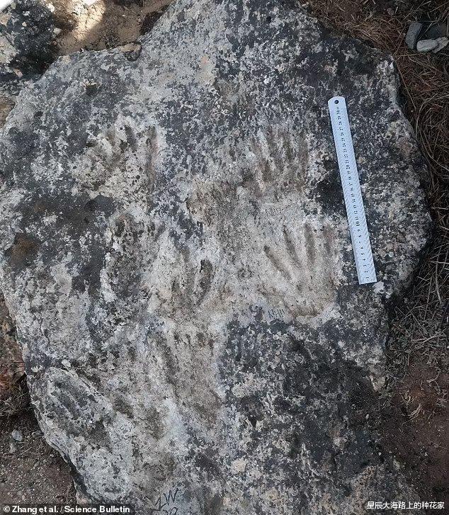丹尼索瓦人 青藏高原发现22万年前手印，坚硬石板上清晰可见，究竟谁留下的？
