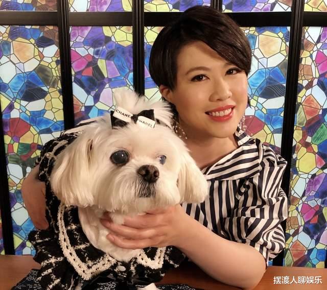 陈彦行|薛家燕新综艺引关注，《皆大欢喜》四人重聚，陈彦行再现公众视线