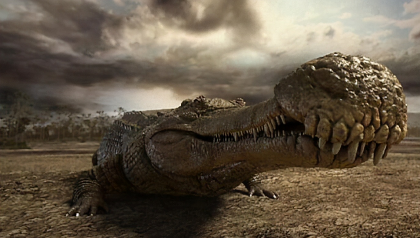 恐龙 你以为恐龙曾称霸地球？其实在恐龙时代，依然有动物以恐龙为食