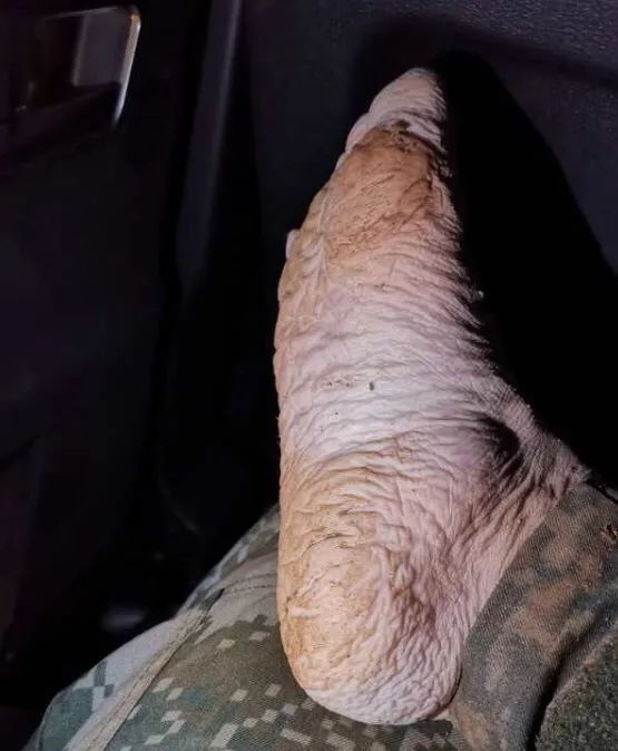 幸福孕孕|暴风雨中心郑州:洪水共城市一色,雨水与泪水齐飞