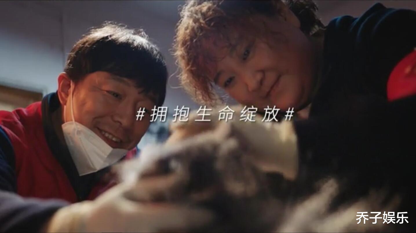 陈思诚|没一部能打的？黄渤6亿，古天乐4亿，马丽2亿，陈思诚“躺赢”