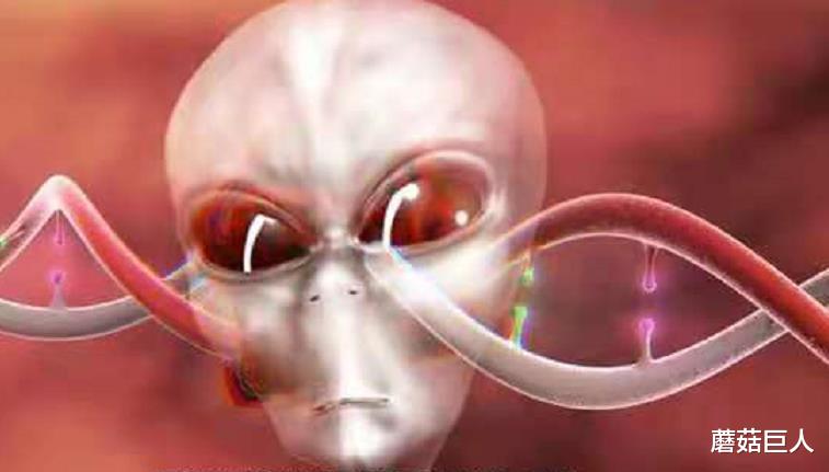 蘑菇巨人|3万年前的星空遗民,外星种族放在地球的小白鼠,你是其中之一吗?