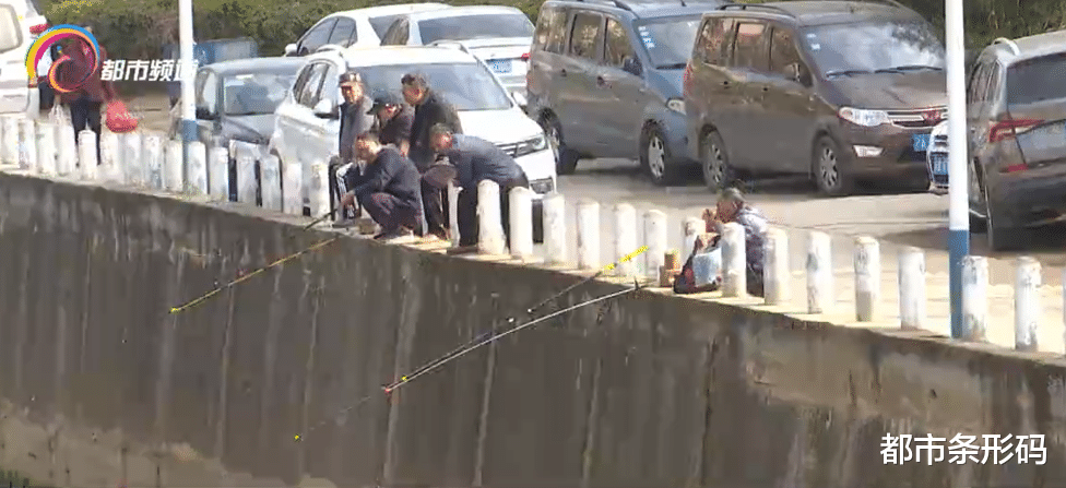 都市条形码 市民投诉:盘龙江沿岸偷钓猖獗